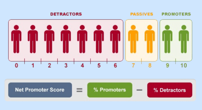 Net Promoter Score Calculated